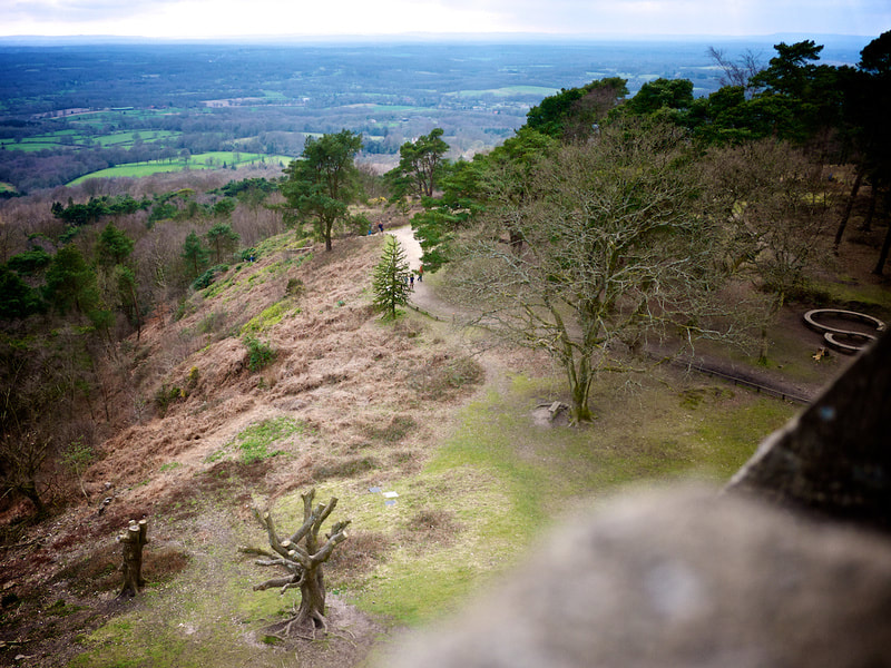 View from Leith Hill Tower